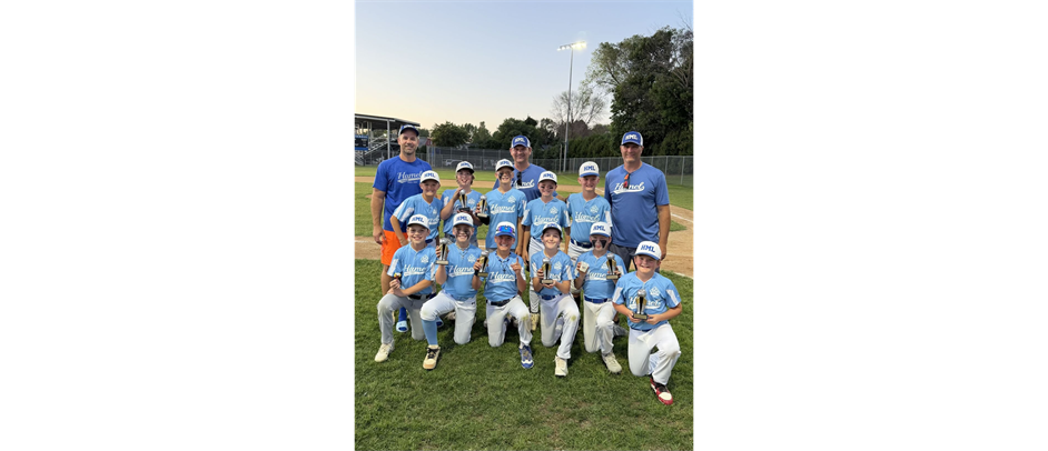 Majors American Blue won the Hamel Majors American Division Championship! 